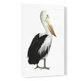 thumbnail image 2 of Epic Art 'Sea Bird IV' by Grace Popp, Acrylic Glass Wall Art, 16"x24", 2 of 3