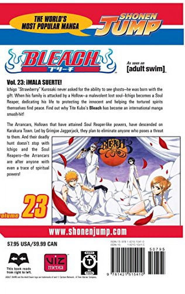 BLEACH Manga Volume 19