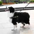 thumbnail image 1 of Chien de Compagnie Réglable Sans Harnais de Traction Collier Réfléchissant Gilet Chien Fournitures, 1 of 8