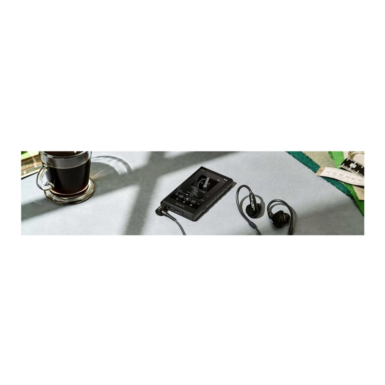 Sony Walkman A Series NW-A306 High-Resolution Digital Audio Player