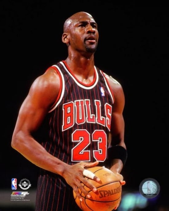 michael jordan 1995 season Transportation and Logistics Company News