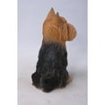 thumbnail image 3 of Hi-Line Gifts Sitting Yorkshire Terrier Outdoor Garden Statue - 9.25" - Black and Brown, 3 of 5