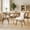 Brown, variant on Daluvenix Rattan Dining Chairs Set of 4 Accent Chairs with Rattan Backrest & Teddy Fleece Fabric Cushion Black