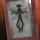 thumbnail image 3 of Fairy Specimen Statue Picture Frames Display Painting Home Decor,C, 3 of 5