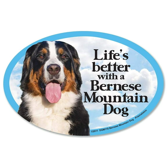 Bernese Mountain Dog Oval Dog Magnet for Cars (and Fridges Too!)