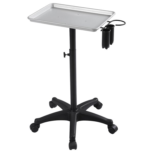 Professional Rolling Salon Tray Beauty Trolley Cart for Salon Spa