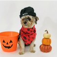 thumbnail image 2 of Halloween Pet Saliva Towel Triangle Scarf for Pet Use 2Pcs Dog Collar, 2 of 5