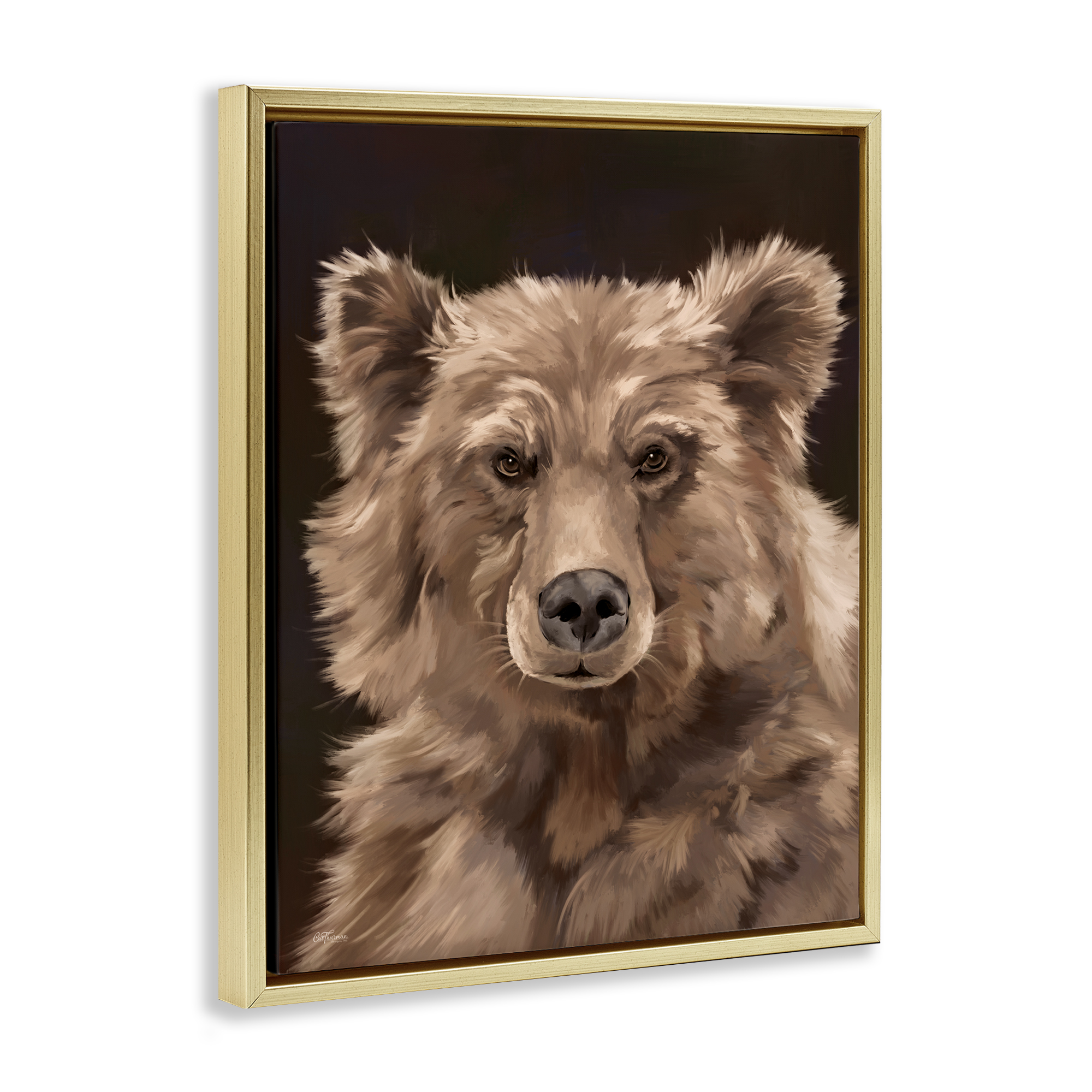 Stupell Industries Fluffy Bear Cub Animals Painting Gold Floater Framed Canvas Art Print Wall Art, 17 x 21