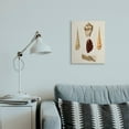 thumbnail image 2 of Stupell Industries Antique Warm Brown Patterned Round Sea Shell Vintage Canvas Wall Art Design by G.W. Knorr, 16" x 20", 2 of 6