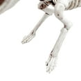 thumbnail image 3 of Halloween Animal Skeleton Bones Horror Simulation Skeleton Halloween Party Decoration Animal Skeleton Bones Animal Skeleton Bones For Halloween Halloween Animal Skeleton Bones, 3 of 5