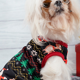 thumbnail image 3 of Vestidos para perros lindos, traje navideño, disfraz para perros pequeños, ropa para gatos, 3 of 5