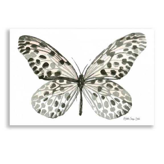 Epic Art 'Butterfly 3' by Stellar Design Studio, Acrylic Glass Wall Art, 24"x16"
