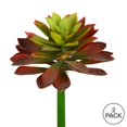 thumbnail image 2 of Vickerman FH180301 20 in. Red &amp; Green Succulent Stem, 2 of 3