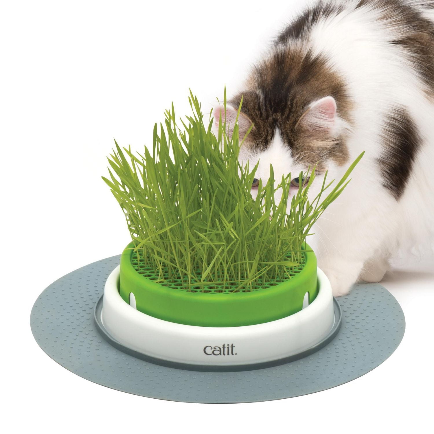Catit Senses 2.0 Grass Planter Cat Toy