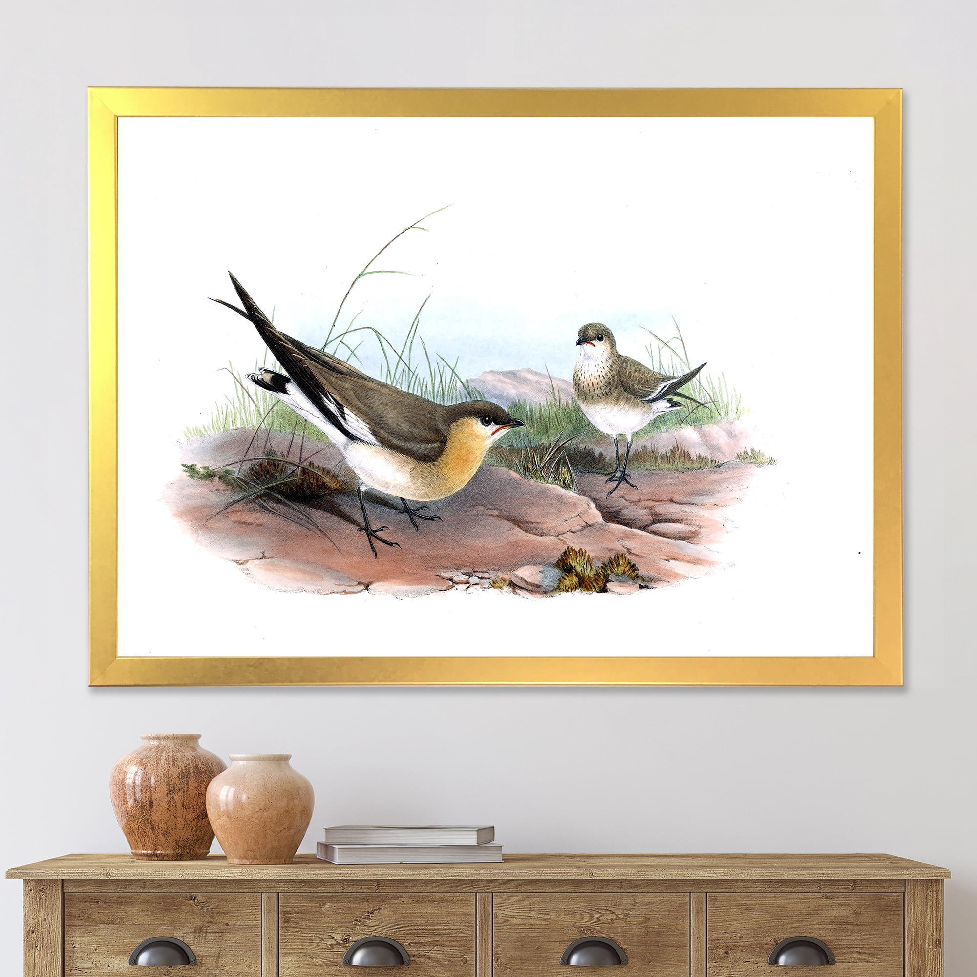 Designart 'Ancient Bird Illustration II' Farmhouse Framed Art Print