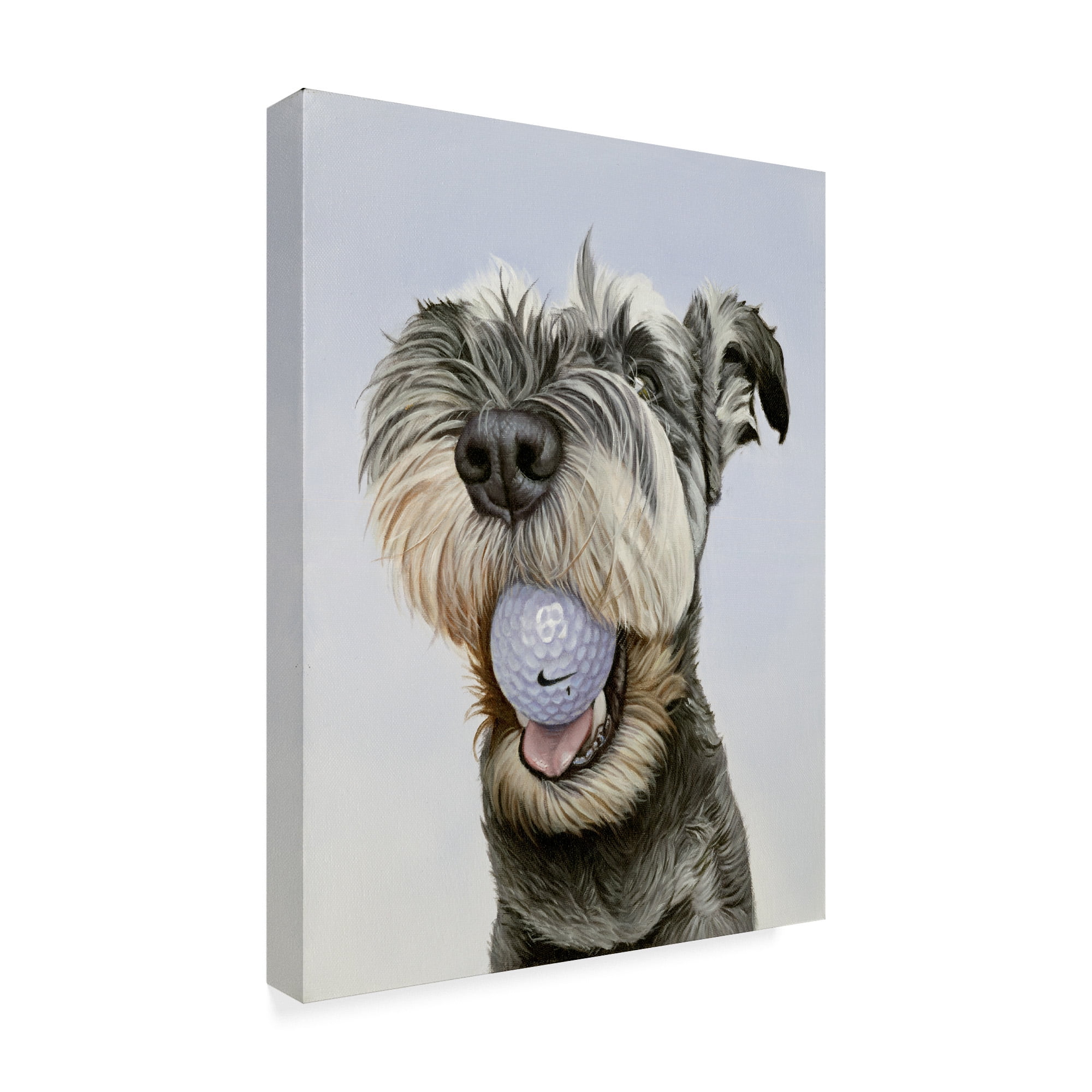 Trademark Fine Art 'Nike' Canvas Art by James Ruby