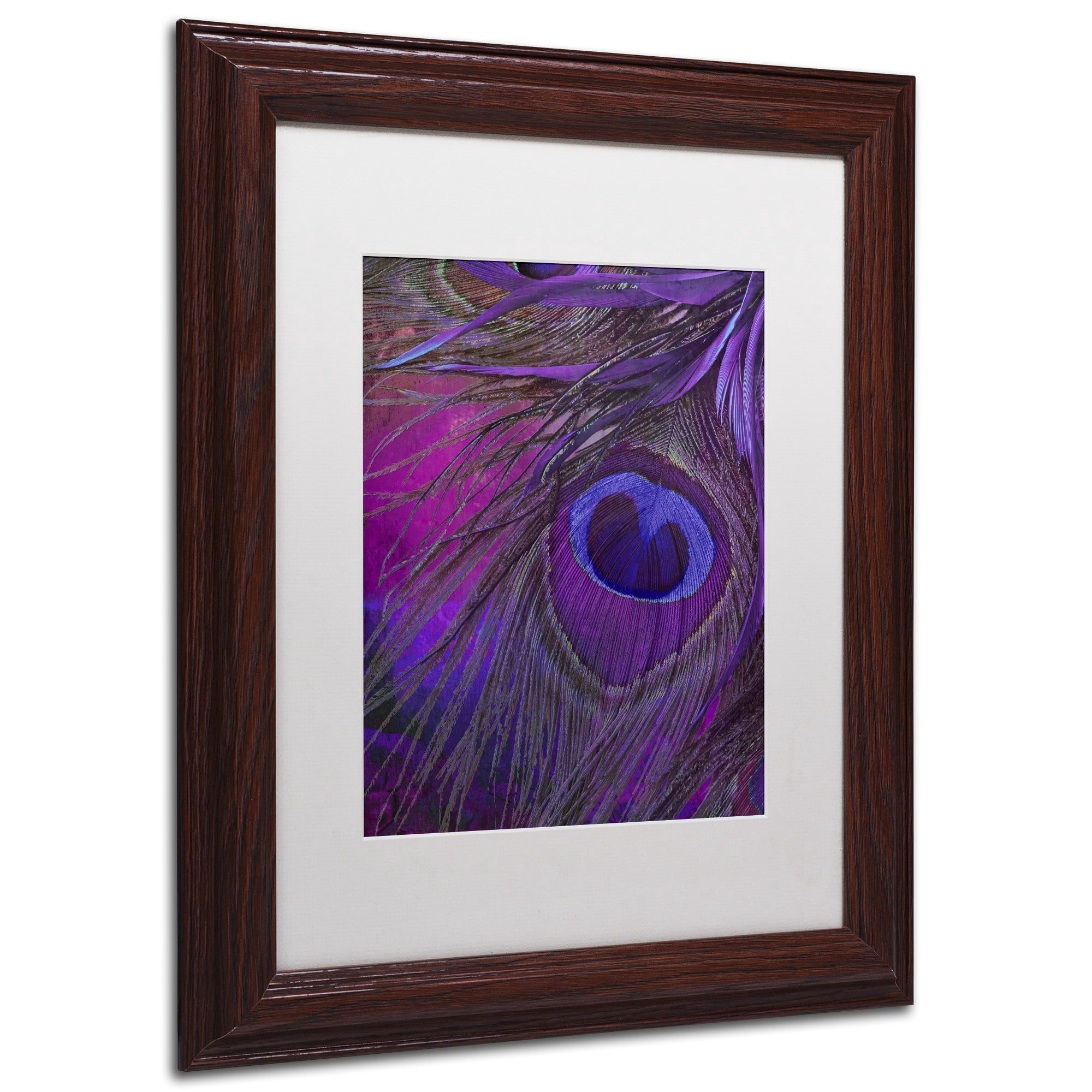 Trademark Fine Art "Peacock Candy IV" Canvas Art by Color Bakery White Matte, Wood Frame