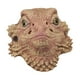 thumbnail image 4 of Máscara de cabeza de animal,Máscara de cabeza de animal,Accesorios de látex,Disfraz realista de cosplay,Máscara de disfraces para Halloween, 4 of 8