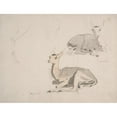 thumbnail image 3 of Samuel Daniell 18x15 Black Modern Framed Museum Art Print Titled - Studies of Young Pallah Deer Resting (ca. 1802), 3 of 5