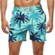 thumbnail image 1 of Kakii Men's Swim Trunks Hawaiian Bathing Mesh Lining Suit Swimsuits Beach Shorts with Pockets, 1 of 6