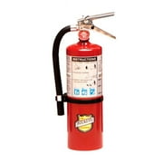 Buckeye  5 lbs ABC Multipurpose Fire Extinguisher with Wall Mount