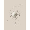 thumbnail image 5 of Desodorant Ban, antitranspirante, invisible, sólido, sin perfume, 75 ml, paquete de 5, 5 of 5