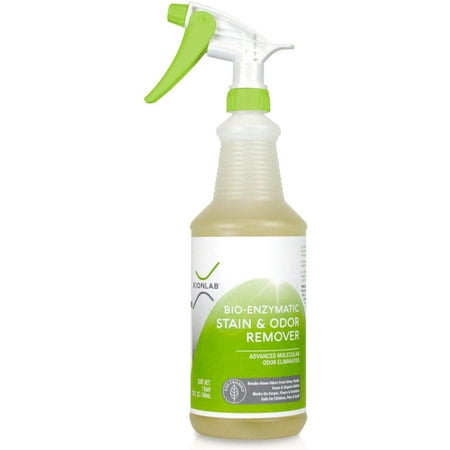 XionLab Professional Stain Remover & Pet Odor Eliminator for Home for Strong Odor – Bio-Enzyme Cleaner Remove Carpet, Furniture Stains – Cat & Dog Urine Destroyer