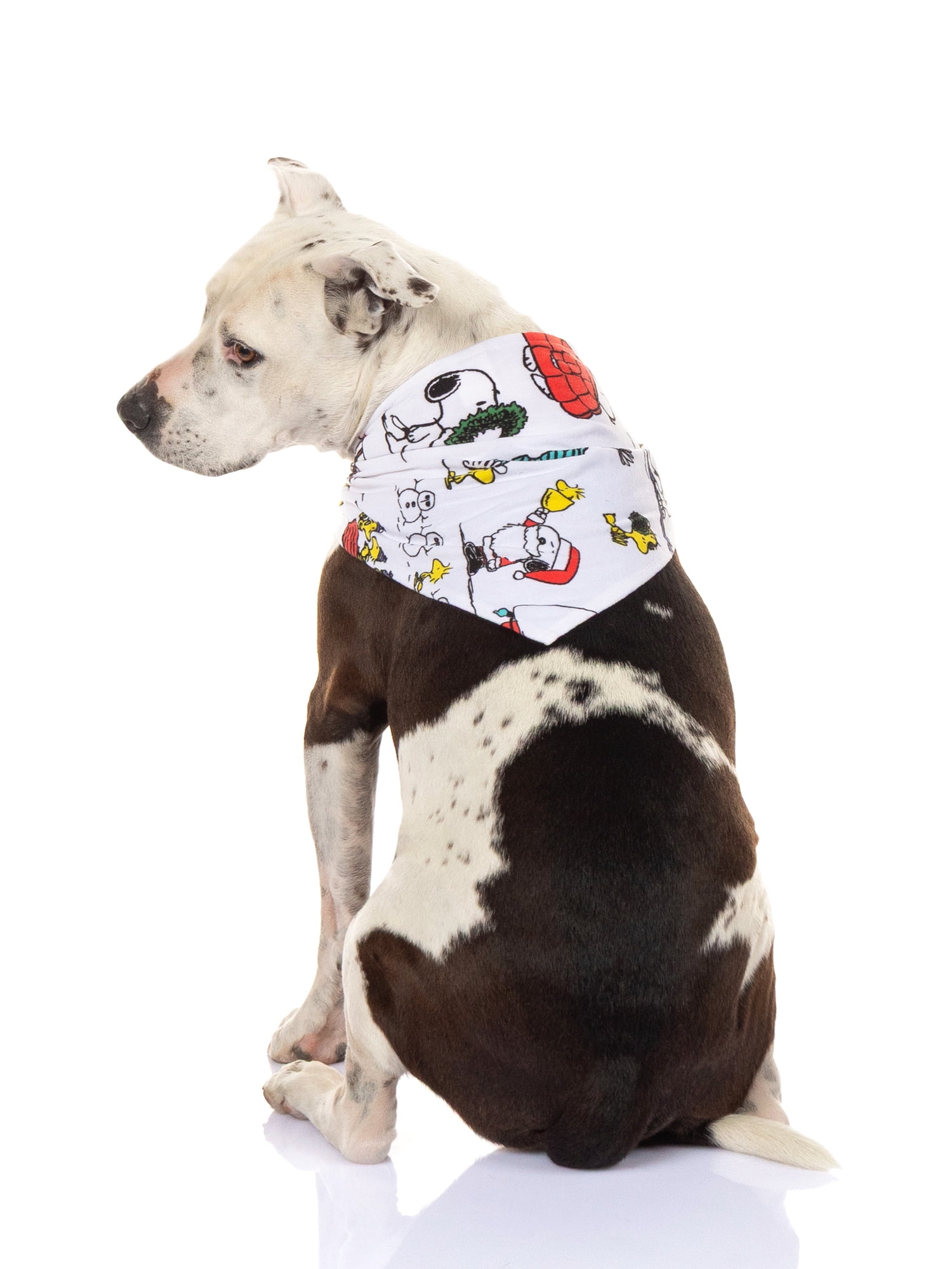 Peanuts Snoopy Pet Matching Family Bandana