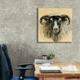thumbnail image 3 of Epic Graffiti 'Highland Animal Ram' by Silvia Vassileva, Canvas Wall Art, 26"x26", 3 of 8