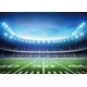 thumbnail image 5 of RUINI Fondo para fotografía de campo de fútbol, ​​campo de fútbol, ​​auditorio, telón de fondo para fiesta temática ligera, 9x6 pies, 5 of 5
