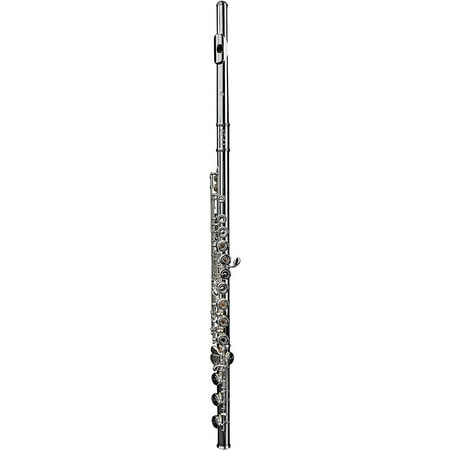 Di Zhao DZ 601 Intermediate Flute, Open Hole, Pointed Arms, Silver Headjoint, Silver Plated Dody Offset G B-Foot