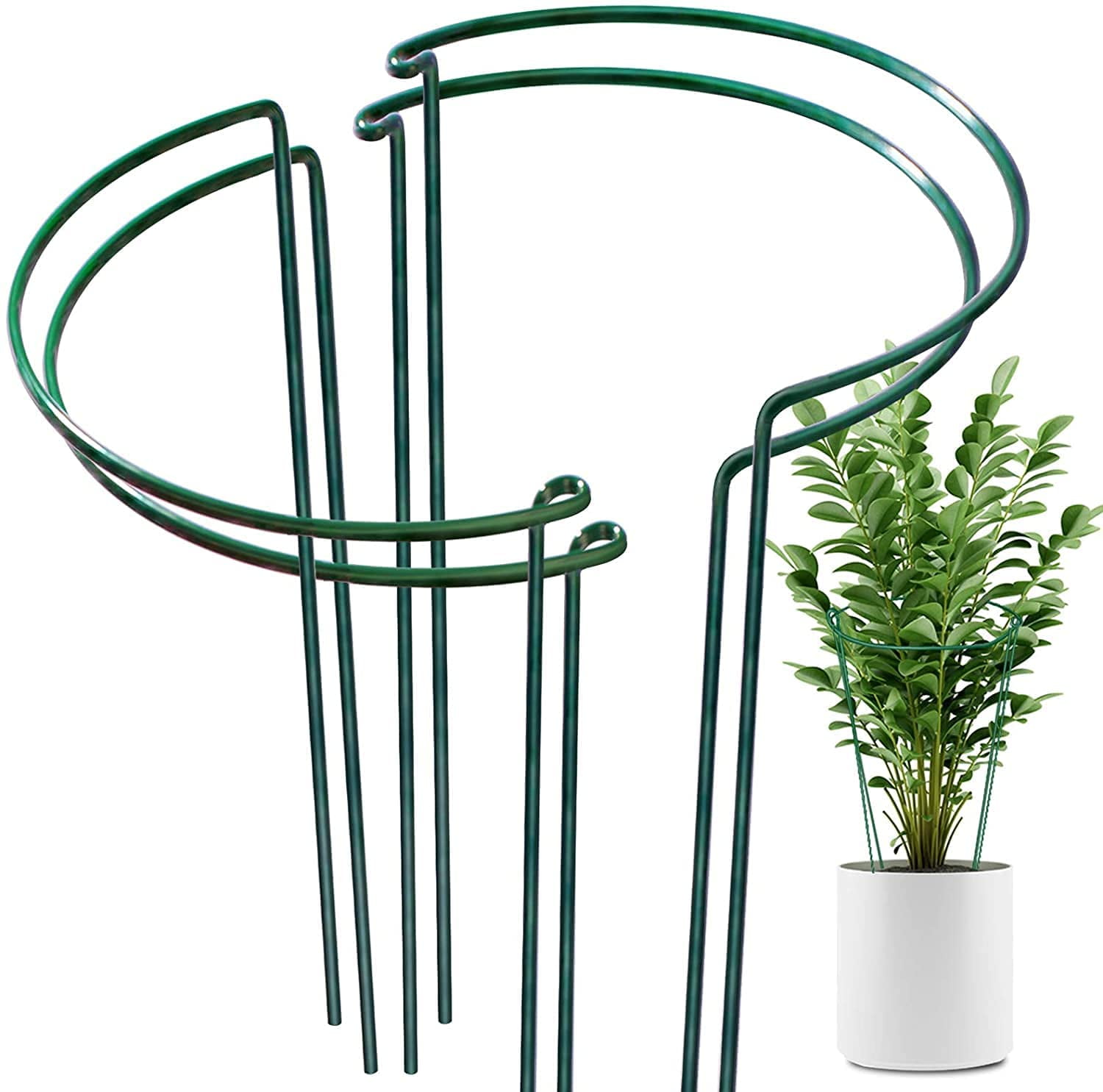 Rose 9.4 Wide x 15.6 High Plant Support for Tomato Green Half Round Plant Support Ring Hydrangea Metal Garden Plant Stake HiGift 4 Pack Plant Support Stake Plant Cage Vine 