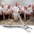 thumbnail image 3 of Cortadora de dientes de cerdo cortador de lechones de acero inoxidable diente ANGGREK Otros, 3 of 8