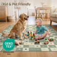 Funky Rugs Mini ODIKA 6'x9' Ultra-Soft Area Rug, Fuzzy Checkerboard Funky Grid Playful ...
