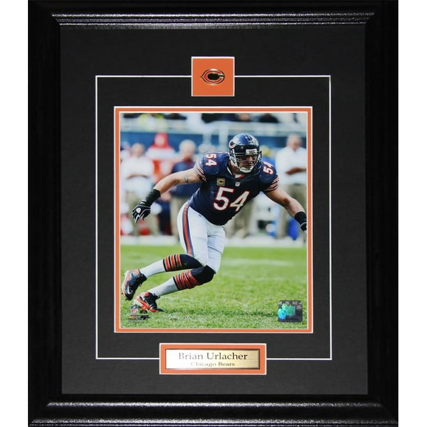 Brian Urlacher Chicago Bears 8x10 Football Memorabilia Collector