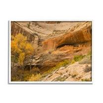 Stupell Industries Desert Foliage Landscape Southwestern Canyon Cliff Nature Photography White Framed Art Print Wall Art, 16 x 20