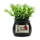 thumbnail image 2 of Maceta Decorativa para Coche con Flores Artificiales, Frutas y Aromas, Ideal para Ambientadores de Coche., 2 of 6