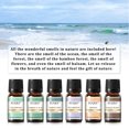 thumbnail image 3 of EUQEE 6PCS Premium Fragrance Oils Set for Diffuser, Soap and Candle Making - Sea Breeze, Forest Pine, Bamboo & Teak, Cedarwood, Sandalwood, Freesia (10ml), 3 of 7