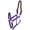 Purple, variant on Gatsby Nylon Breakaway Halter Cob Black