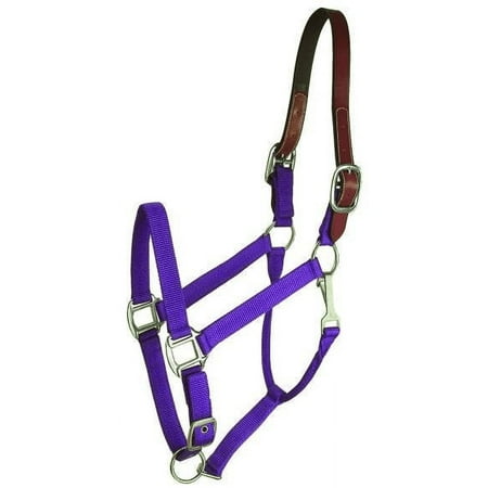 UPC: 0840875043531 | Gatsby Nylon Breakaway Halter Ovrsz Purple