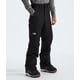thumbnail image 3 of Pantalón de nieve THE NORTH FACE Freedom para hombre TNF negro-NPF - M, 3 of 8