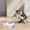 White, variant on Interactive Dog Toys Stuffingless Dog Toys No Squeak Dog Toys Cute Plush Toy Flat Dog Toys for Aggressive Chewers Pet Supplies Dog Gift(1pc)