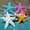 1-2, variant on Flmtop 2Pcs Fish Tank Ornament Mediterranean Resin Mini Starfish Aquarium Decoration