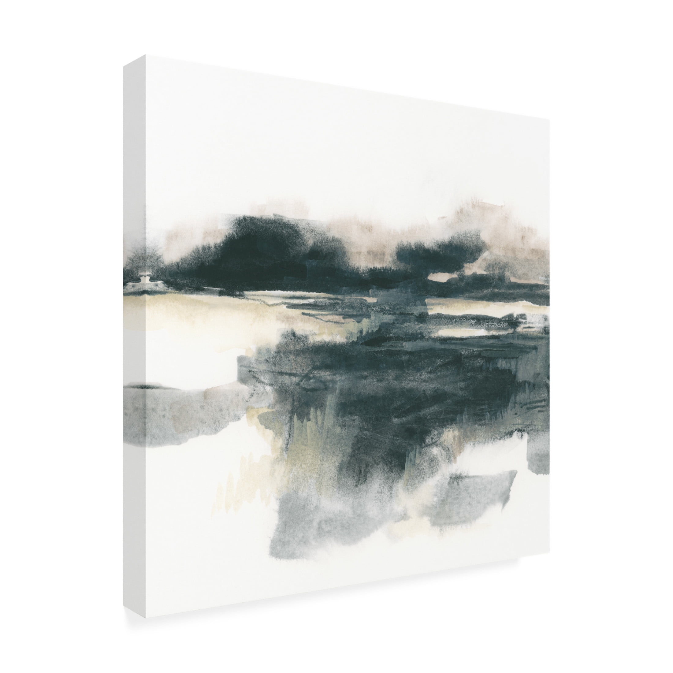 Trademark Fine Art June Erica Vess  Obsidian Field I Canvas Wall Art