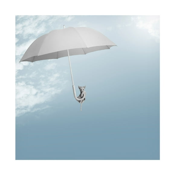 Canvas Wall Art - Jon Bertelli 'Riding The Skies' Wall Art for Living Room, Bedroom, or Office Décor by Trademark Fine Art - 14 x 14 Inches