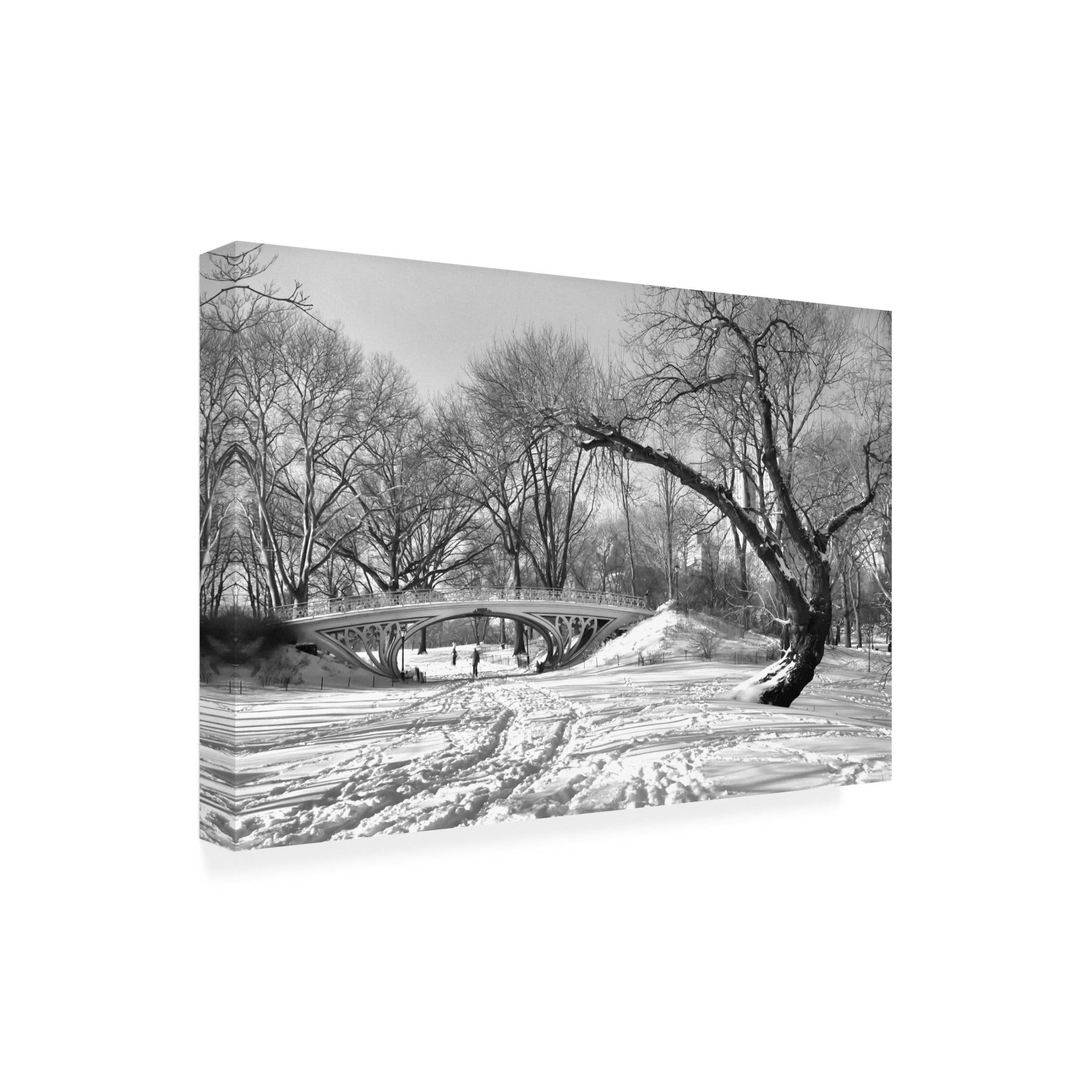 Canvas Wall Art - Mariuca Brancoveanu 'Symbiosis' Wall Art for Living Room, Bedroom, or Office D?cor by Trademark Fine Art - 32 x 22 Inches