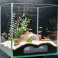 thumbnail image 5 of Tdxkok Aquarium Under Gravel Tunnel Decor Fish Shrimp Hideout Cave Shelter Slide Ornament Safe Aquatic Pet Habitat Reduce Stress Aquascape Supply, 5 of 6