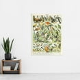 thumbnail image 2 of Millot Encyclopedia Page Birds Parrots Vultures Extra Large XL Wall Art Poster Print, 2 of 3