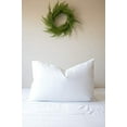 thumbnail image 6 of Pillowtex High End White Goose Down Firm Pillow Queen Set, 6 of 6
