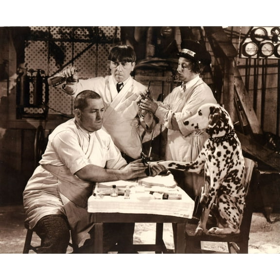 Best Posters Three Stooges Movie Poster 11inx17in Poster